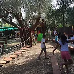 Valle Dei Templi *