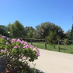 キャンプ場 Valle Dei Templi