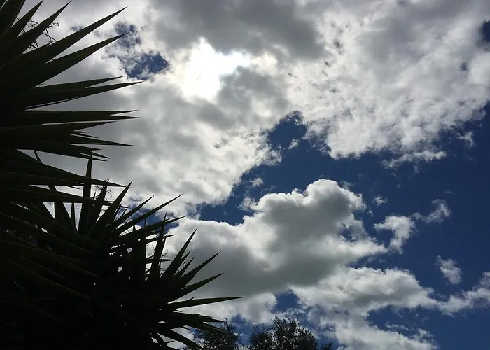 Valle Dei Templi 圣莱昂