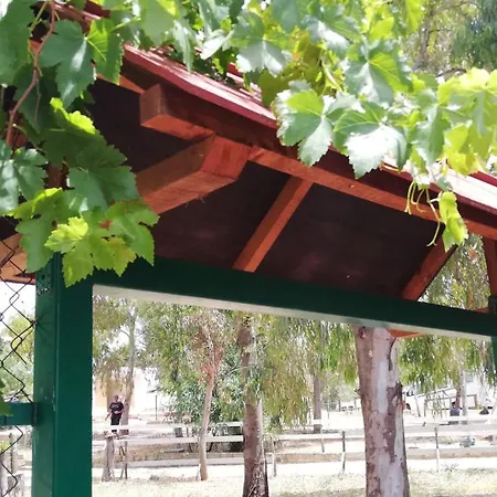 Kamp alanı Valle Dei Templi San Leone
