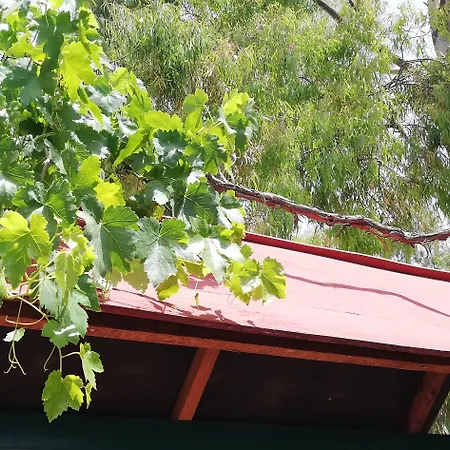 营地 Valle Dei Templi 圣莱昂