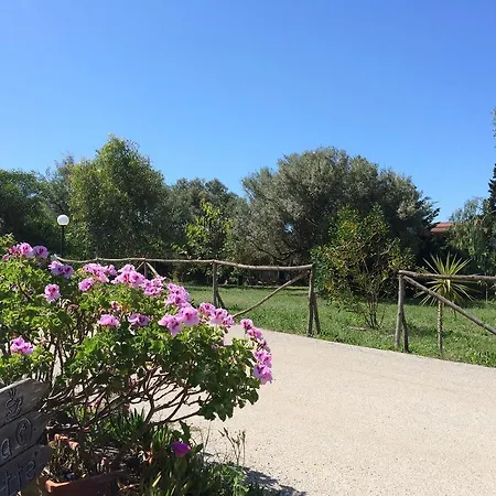 Campsite Valle Dei Templi