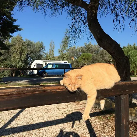 营地 Valle Dei Templi