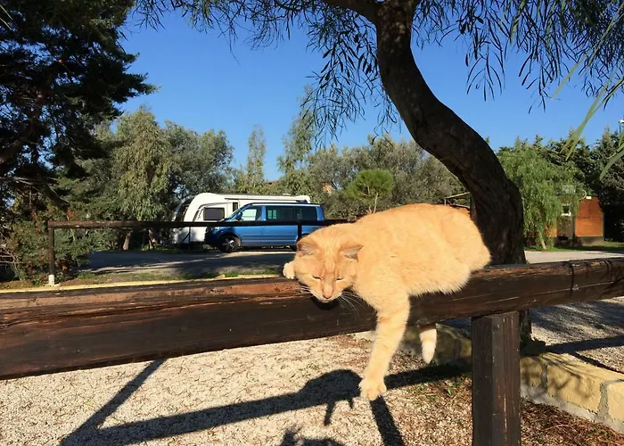 Campingplatz Valle Dei Templi